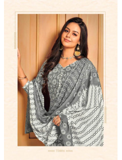 Skt Suits Aarohi vol 2 Cotton Dress Materials Catalog at Wholesale Rate