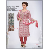 Reevika Handwork Printed Readymade Dress Catalog at Wholesale Rate Reevika Handwork Printed Readymade Dress Catalog at Wholesale Rate