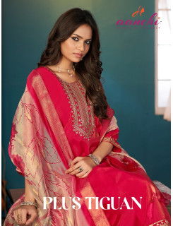 Aanchi Plus Tiguan Readymade Dress Size Set at Wholesale Rate