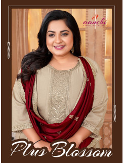 Aanchi Plus Blossom Readymade Dress Size Set at Wholesale Rate