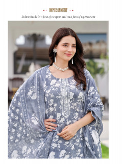 Radhika Lifestyle Cotton Plus Vol 3 Printed Salwar Kameez Catalog at Wholesale Rate