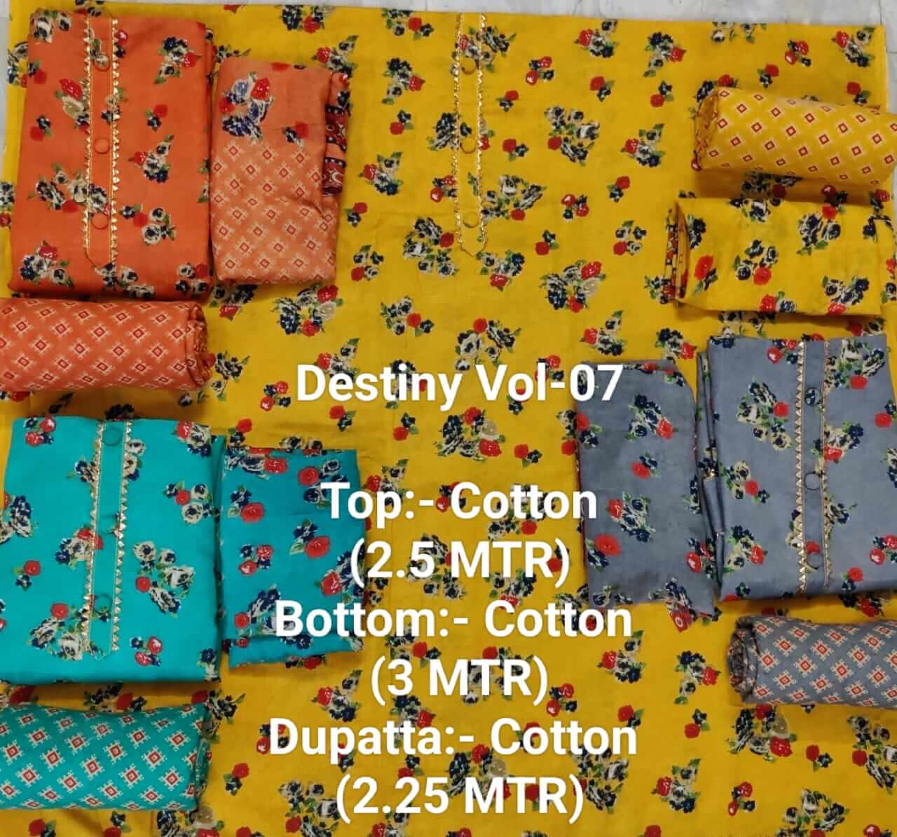 Destiny Vol 7 collection 1
