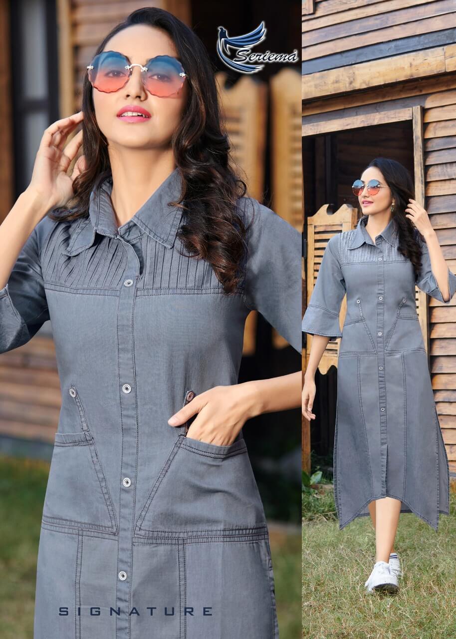 Seriema Kumb Capture vol 2 Denim Kurti Catalog collection 12