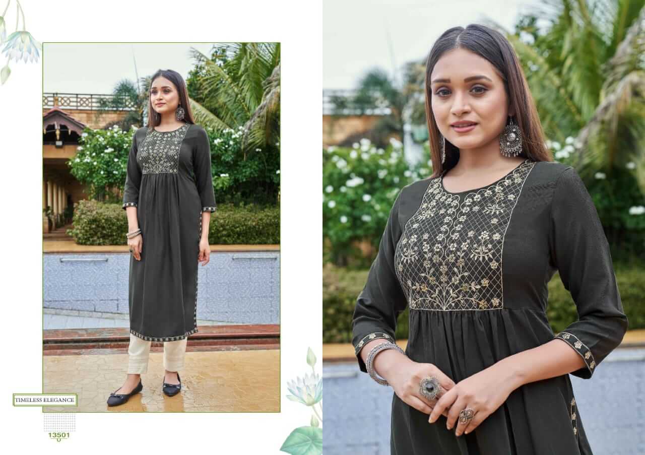 Kalaroop Carbon Embroidery Kurti Catalog collection 6