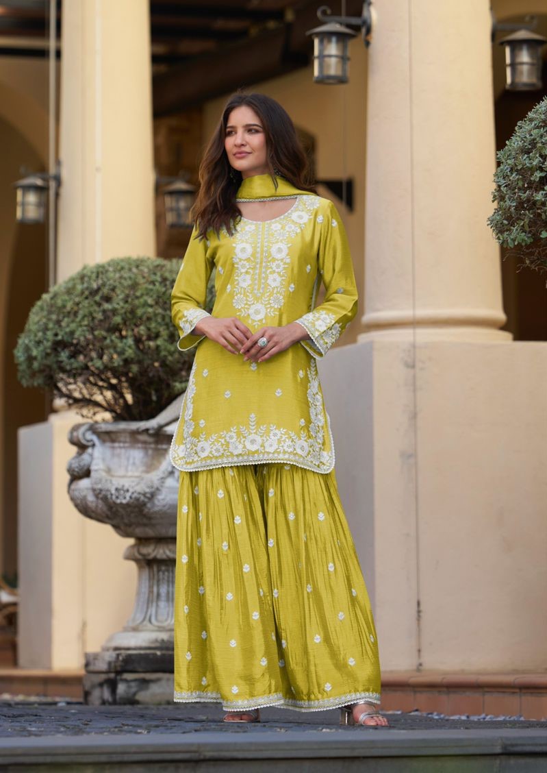 Vamika Anamika Vol 2 Embroidery Salwar kameez Catalog collection 8