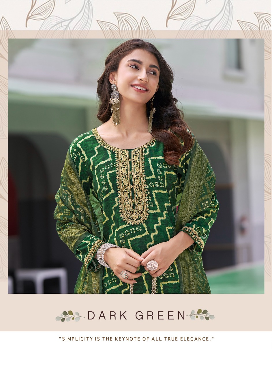Radhika Lifestyle Sajni Vol 2 Printed Salwar Kameez Catalog collection 6