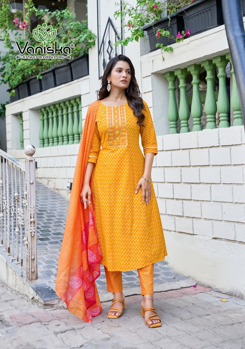 Vaniska Cotton Plus Vol 2 Printed Salwar Kameez Catalog collection 1