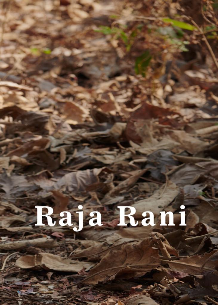 Reevika Raja Rani Anarkali Suits Catalog catalog 4 Reevika Raja Rani Anarkali Suits Catalog collection 4